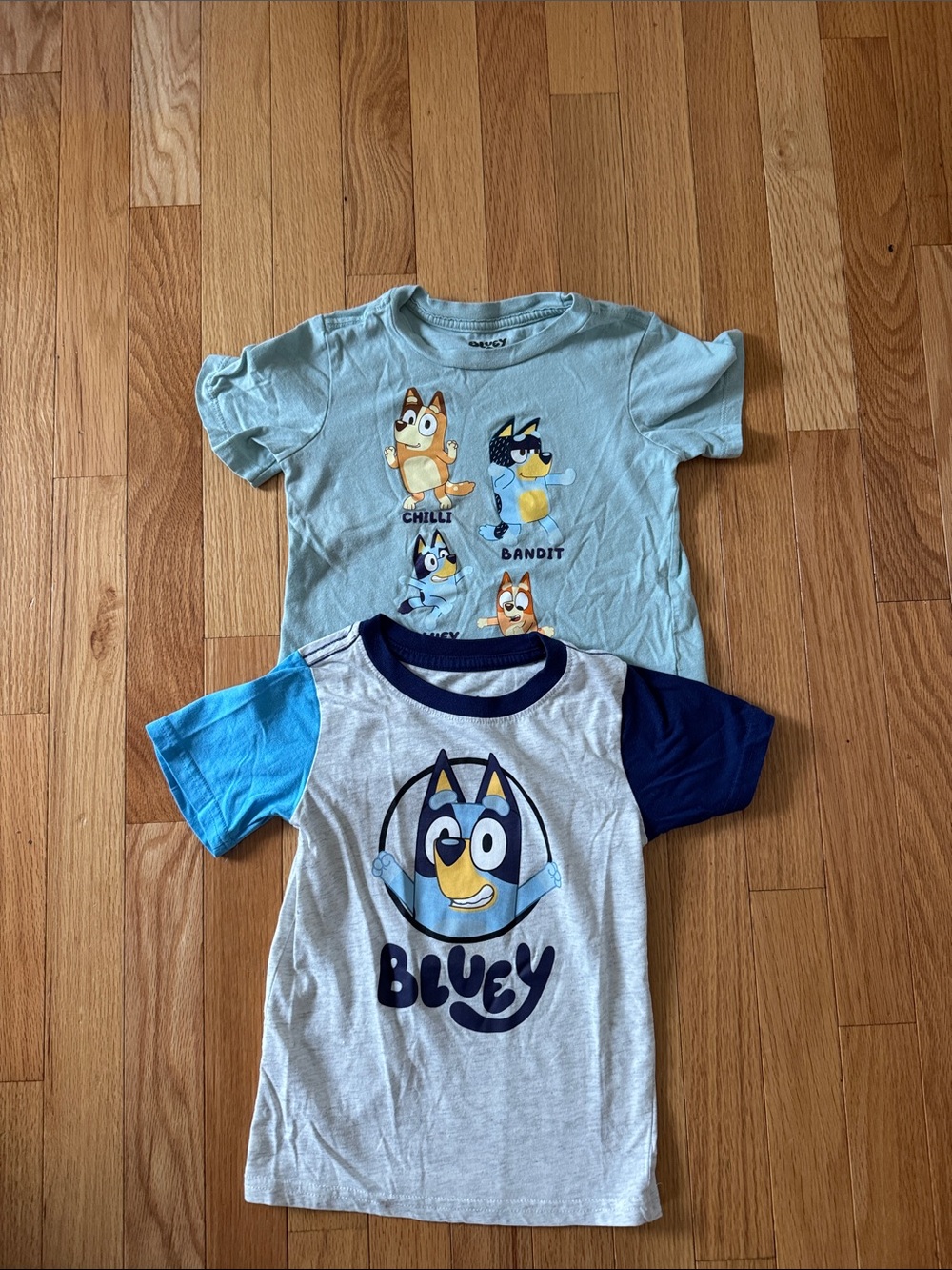 Set of Two Bluey Tops 4T